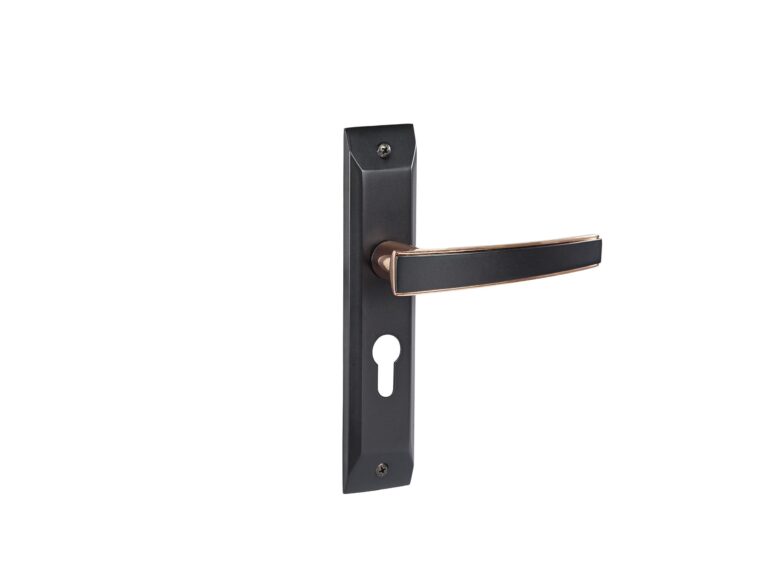 Godrej Locks- Home Door Handle- Matte Black Rose Finish